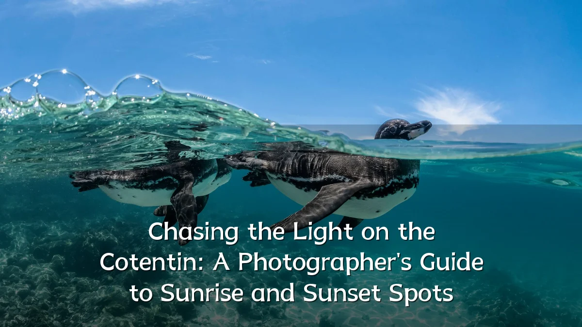 Chasing the Light on the Cotentin: A Photographer's Guide to Sunrise and Sunset Spots