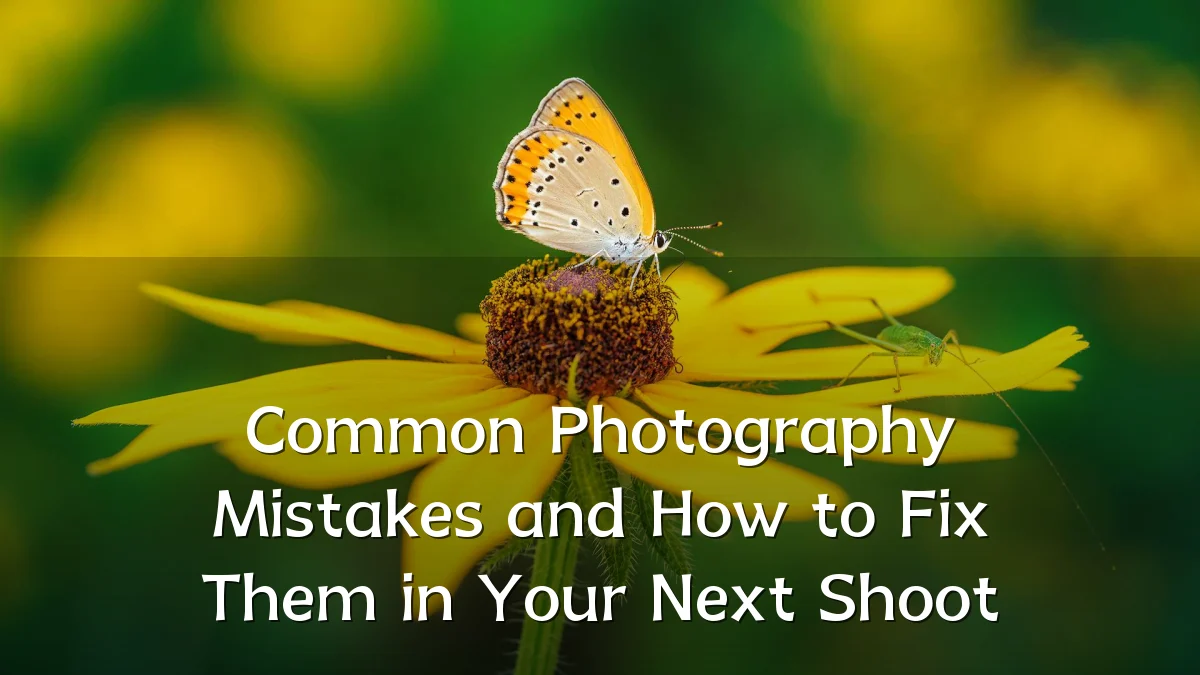 Common Photography Mistakes and How to Fix Them in Your Next Shoot