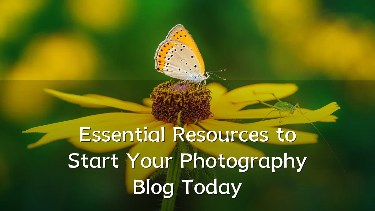 Essential Resources to Start Your Photography Blog Today