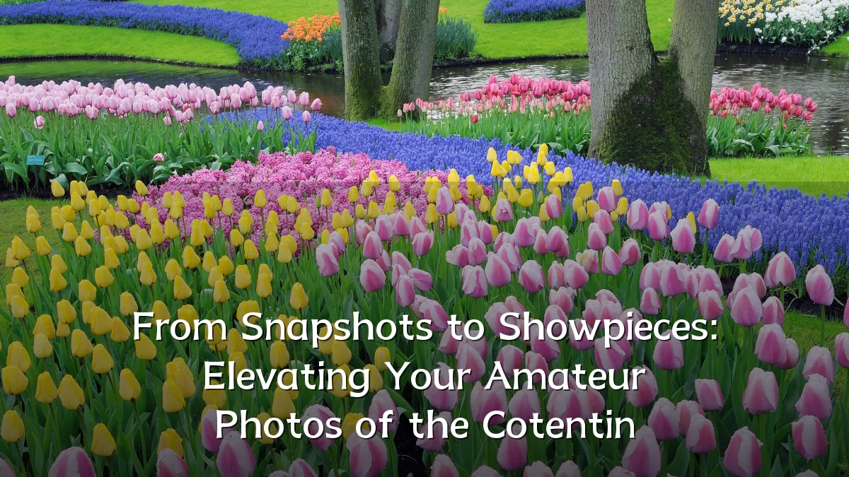 From Snapshots to Showpieces: Elevating Your Amateur Photos of the Cotentin