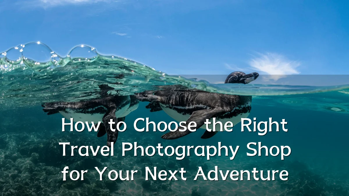 How to Choose the Right Travel Photography Shop for Your Next Adventure