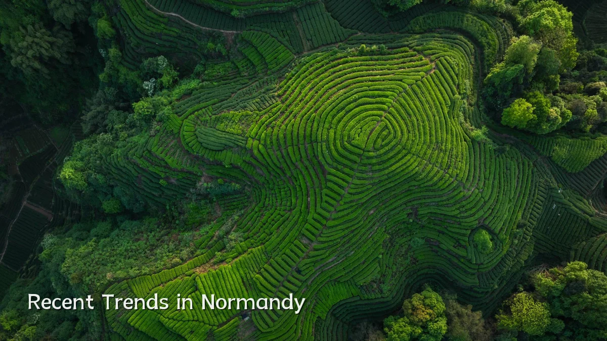 Recent Trends in Normandy
