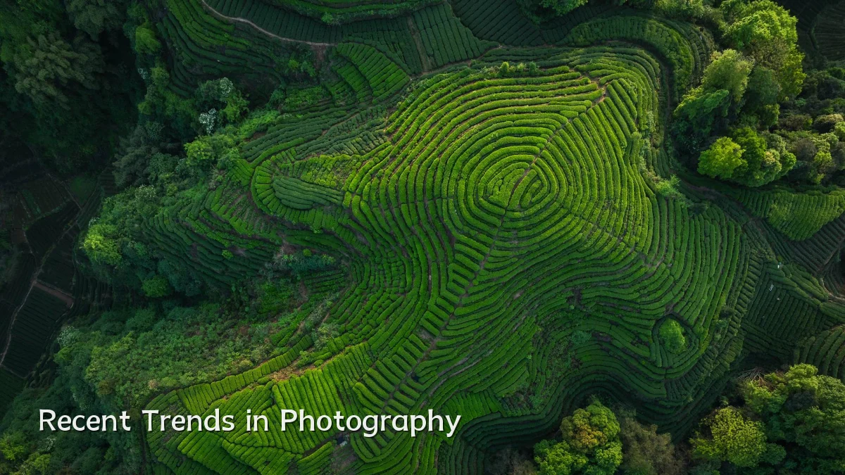 Recent Trends in Photography