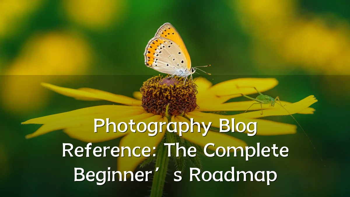 Photography Blog Reference: The Complete Beginner’s Roadmap