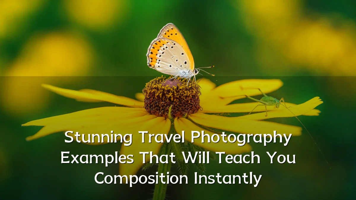 Stunning Travel Photography Examples That Will Teach You Composition Instantly
