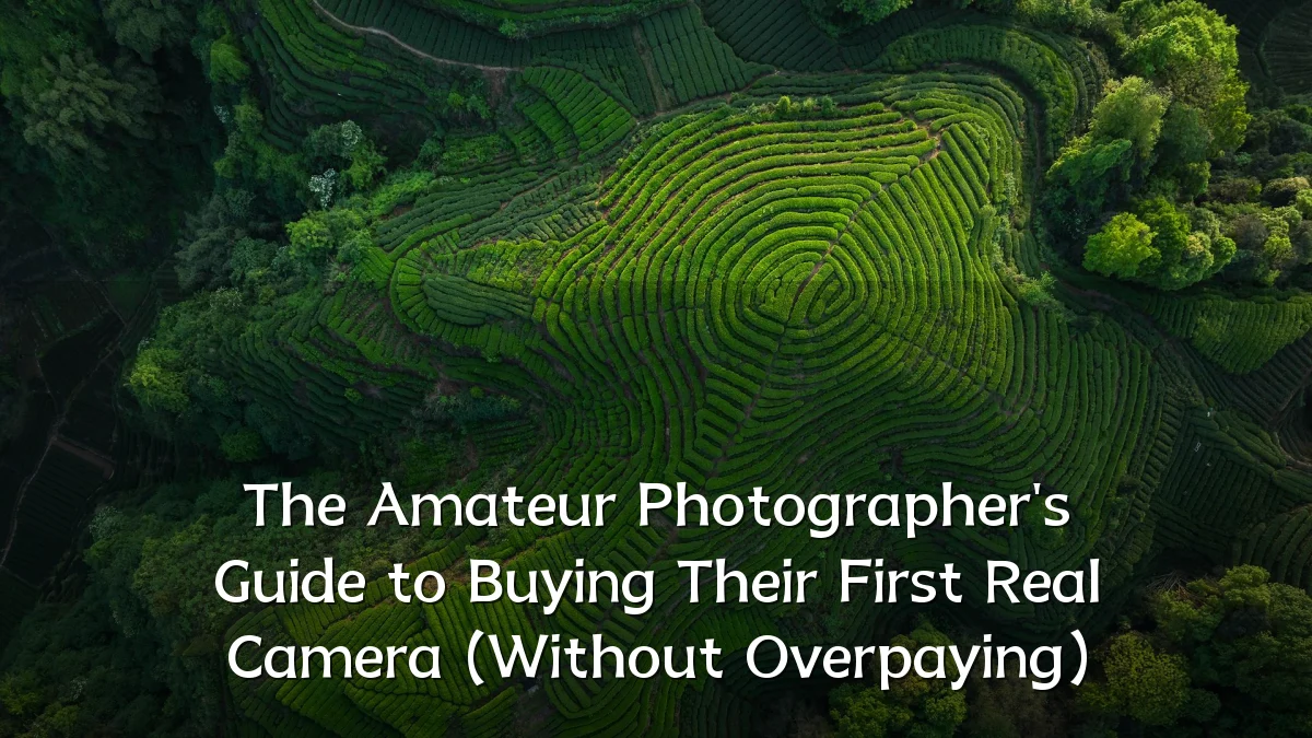 The Amateur Photographer's Guide to Buying Their First Real Camera (Without Overpaying)