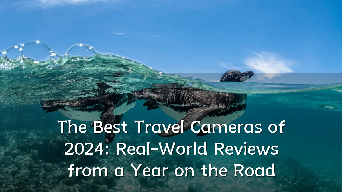 The Best Travel Cameras of 2024: Real-World Reviews from a Year on the Road