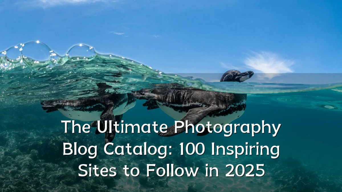 The Ultimate Photography Blog Catalog: 100 Inspiring Sites to Follow in 2025