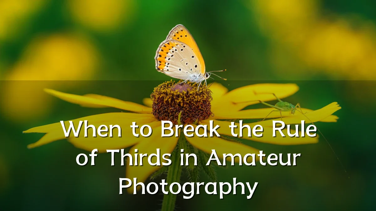 When to Break the Rule of Thirds in Amateur Photography