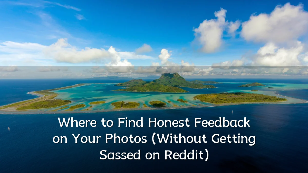 Where to Find Honest Feedback on Your Photos (Without Getting Sassed on Reddit)