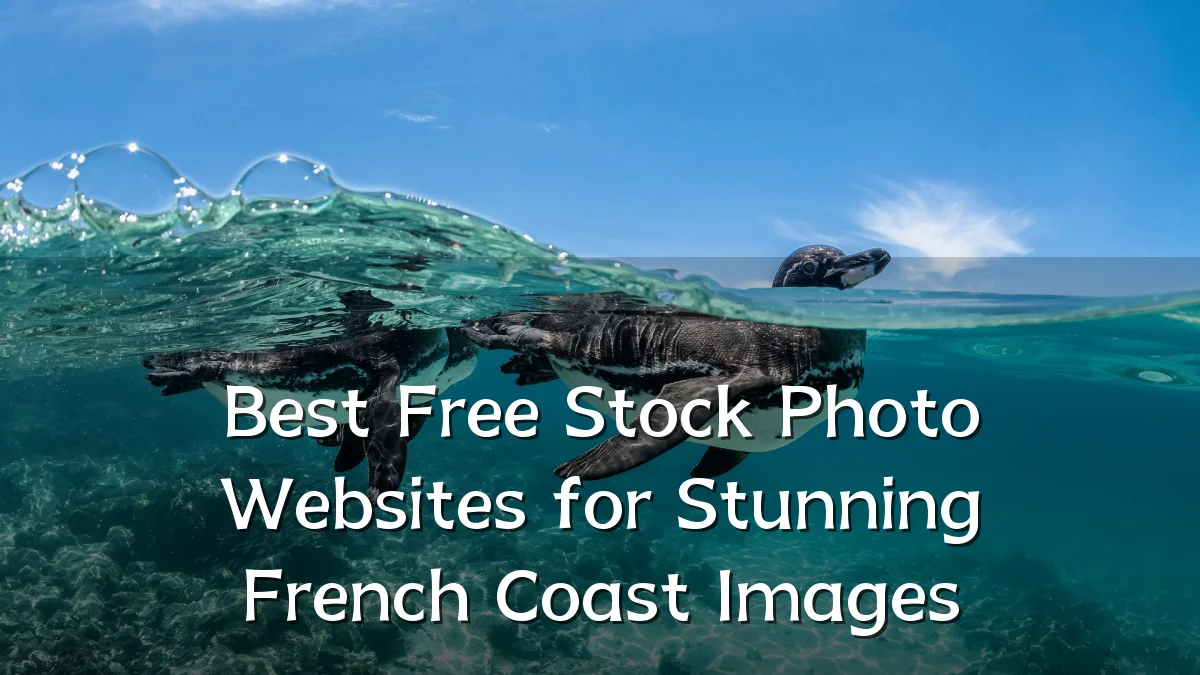 Best Free Stock Photo Websites for Stunning French Coast Images