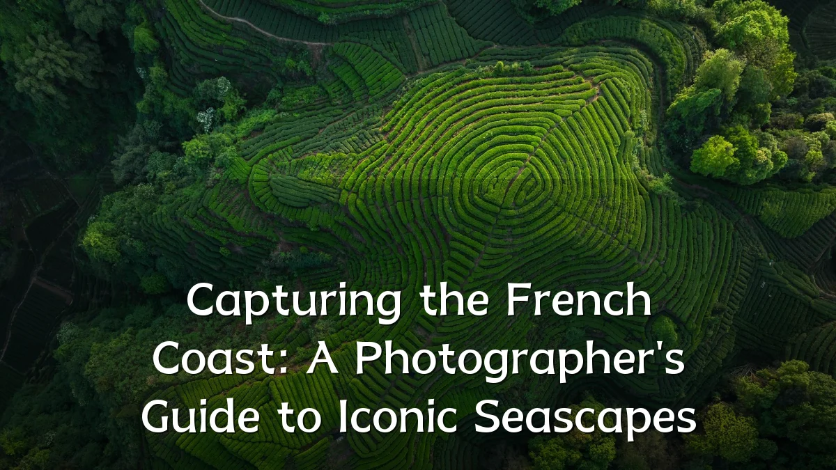 Capturing the French Coast: A Photographer's Guide to Iconic Seascapes