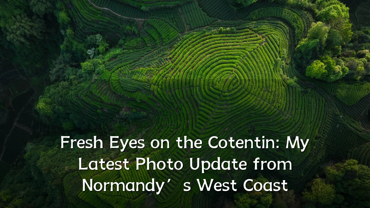 Fresh Eyes on the Cotentin: My Latest Photo Update from Normandy’s West Coast