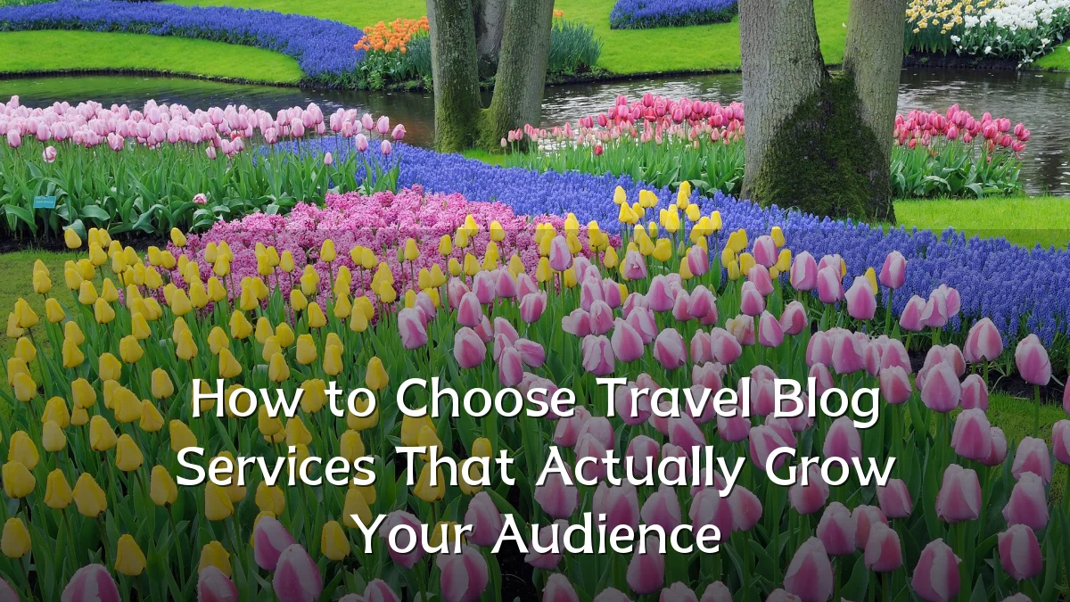 How to Choose Travel Blog Services That Actually Grow Your Audience