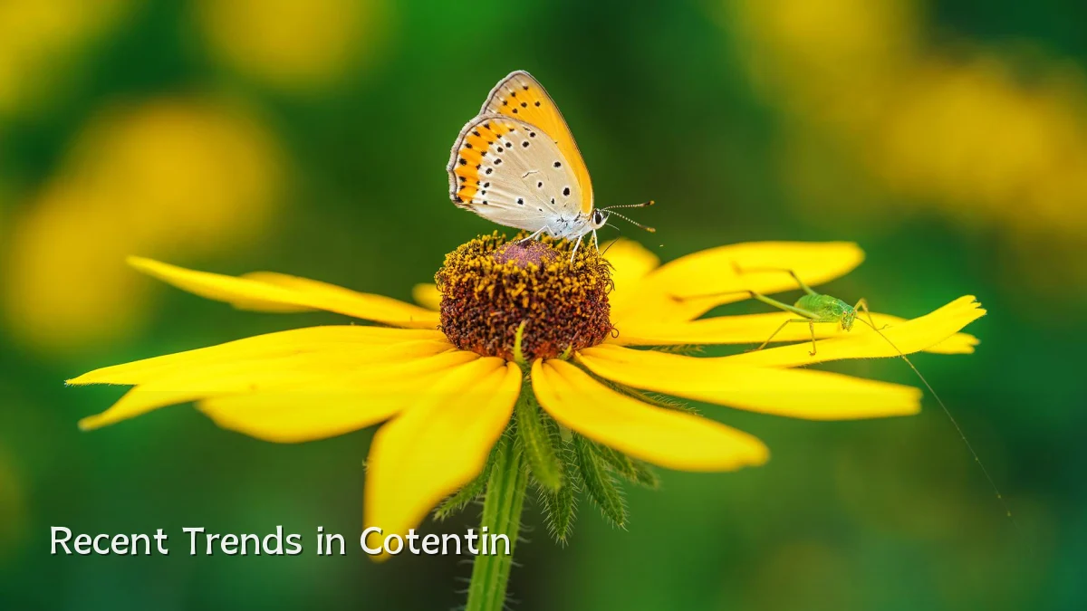 Recent Trends in Cotentin