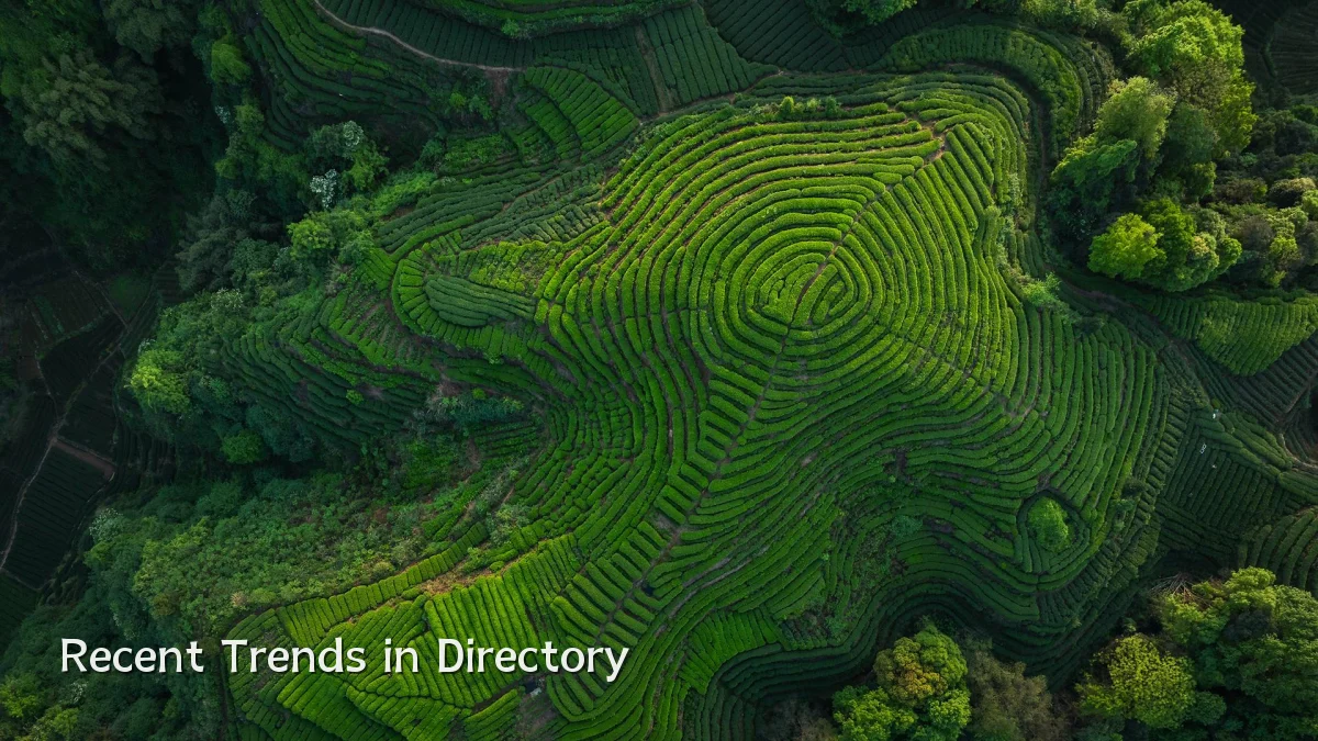 Recent Trends in Directory
