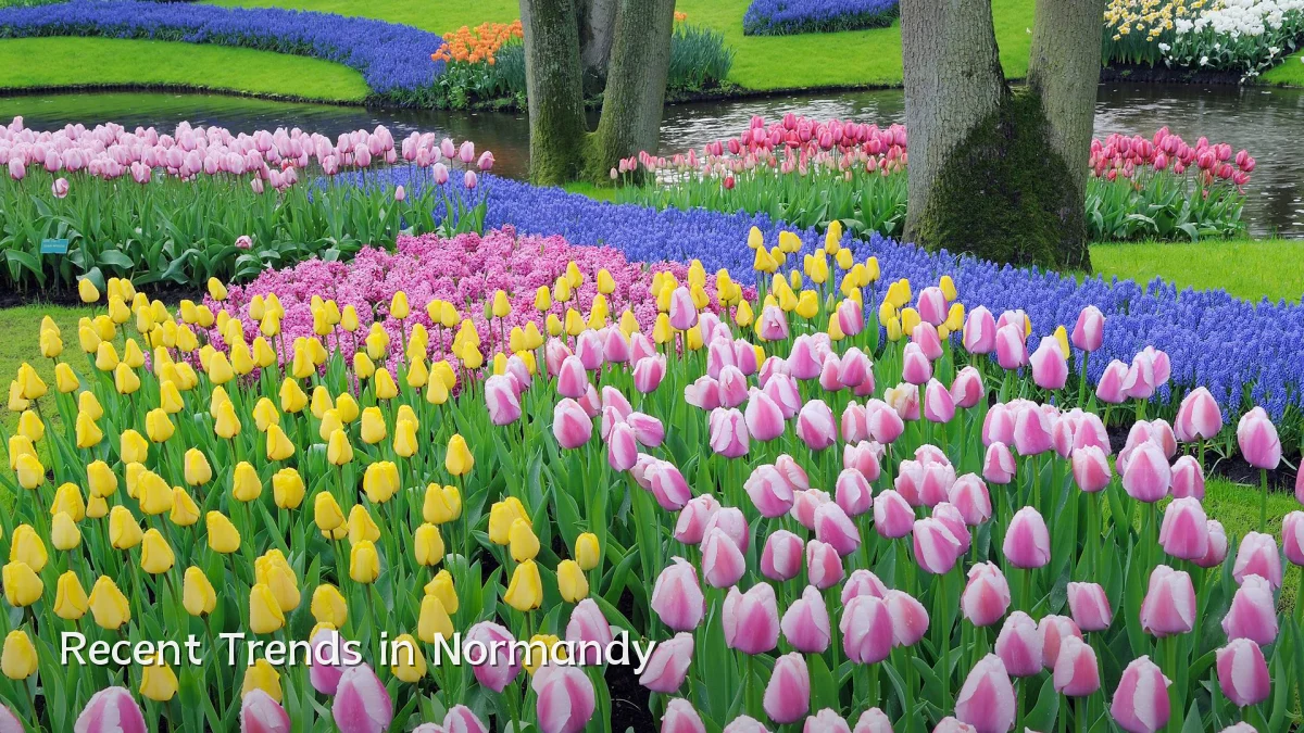 Recent Trends in Normandy
