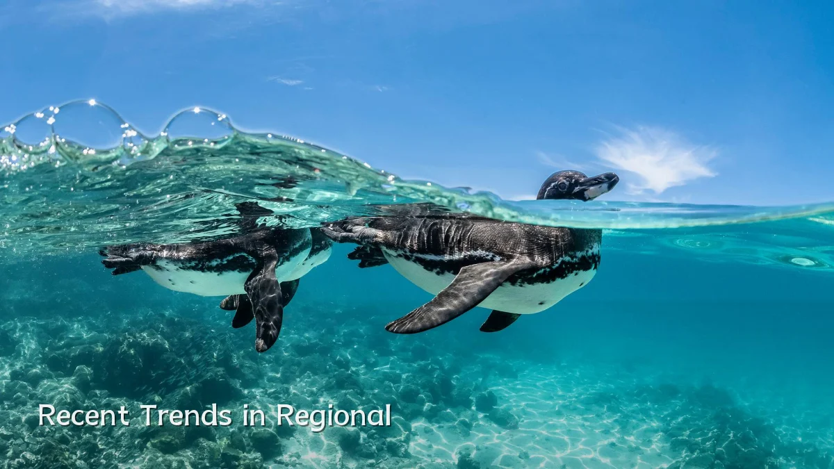 Recent Trends in Regional