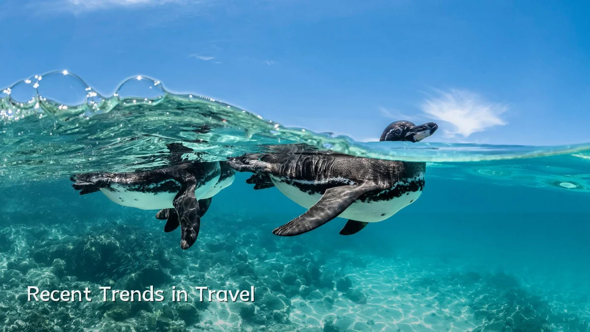Recent Trends in Travel