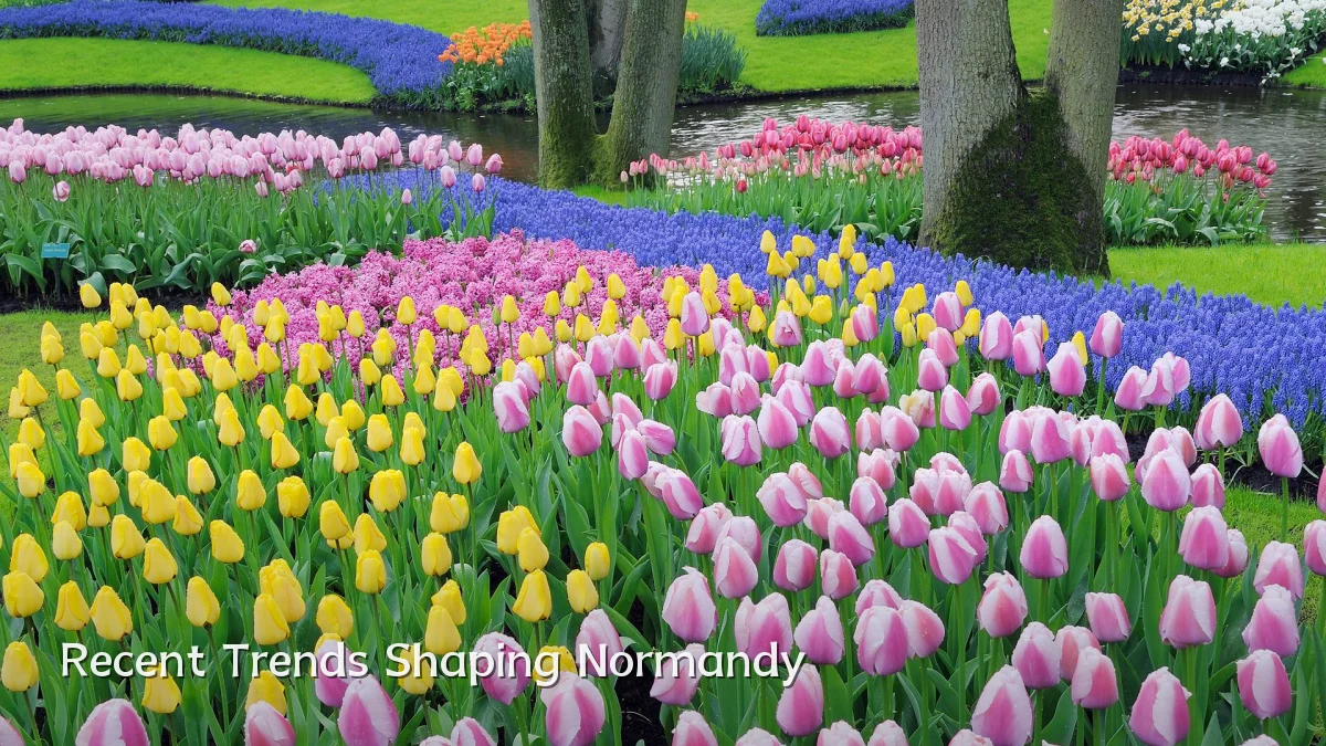 Recent Trends Shaping Normandy