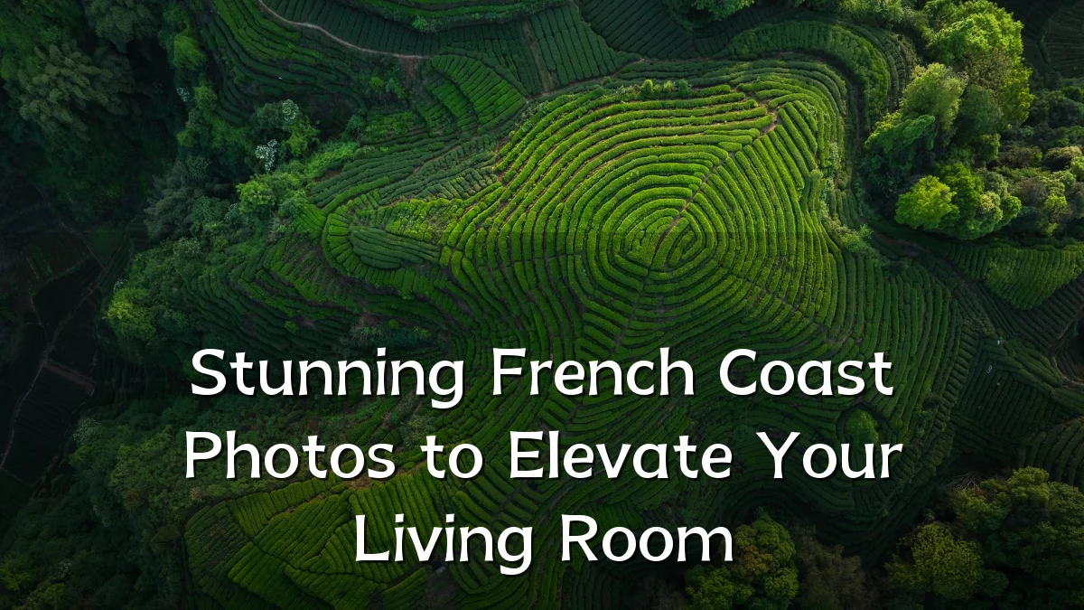 Stunning French Coast Photos to Elevate Your Living Room