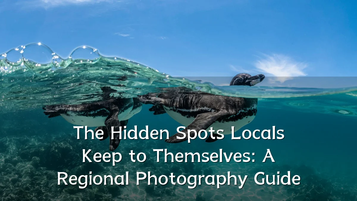 The Hidden Spots Locals Keep to Themselves: A Regional Photography Guide