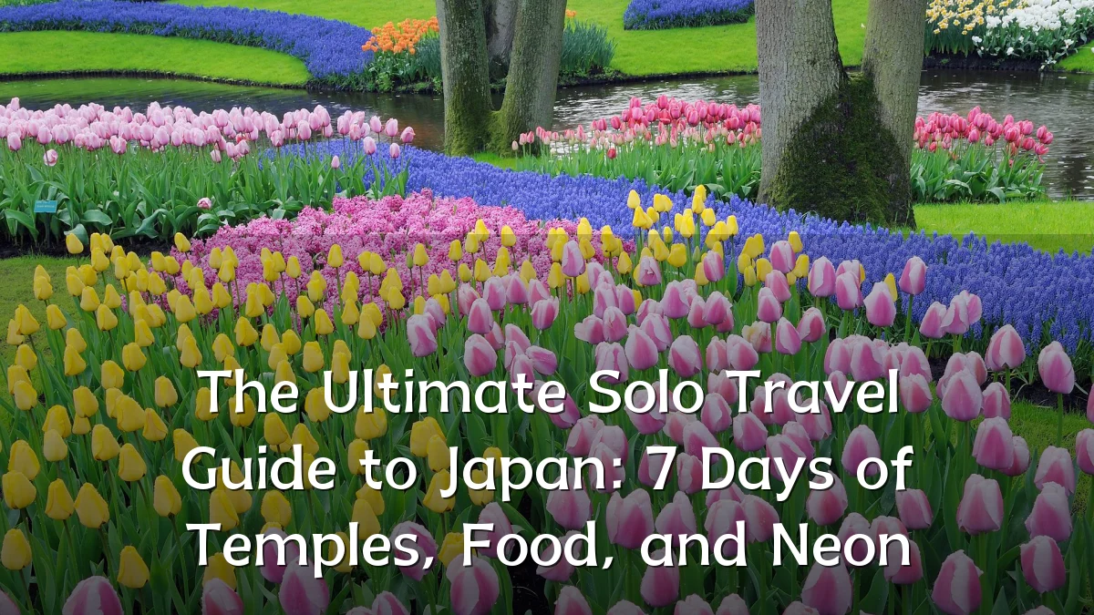 The Ultimate Solo Travel Guide to Japan: 7 Days of Temples, Food, and Neon