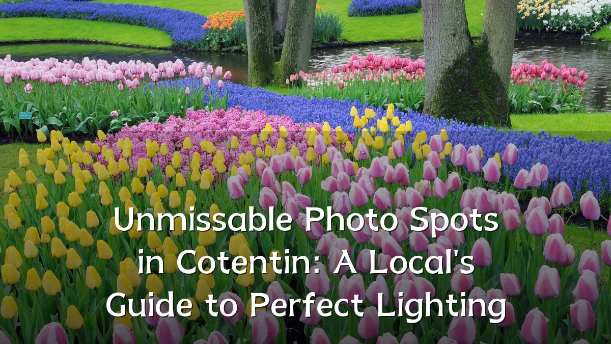 Unmissable Photo Spots in Cotentin: A Local's Guide to Perfect Lighting