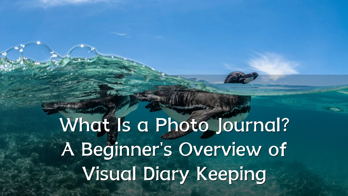 What Is a Photo Journal? A Beginner's Overview of Visual Diary Keeping